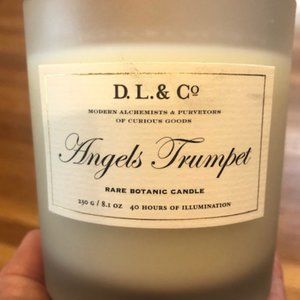 D.L. & Co. Angels Trumpet candle in box